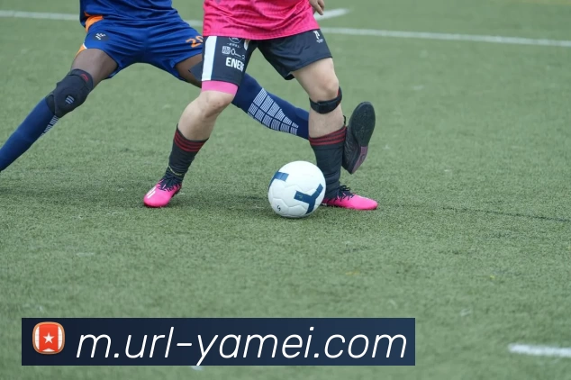 亚美体育品牌故事