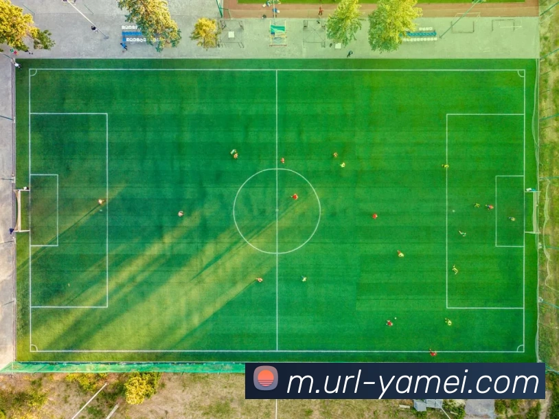 亚美体育服务体系